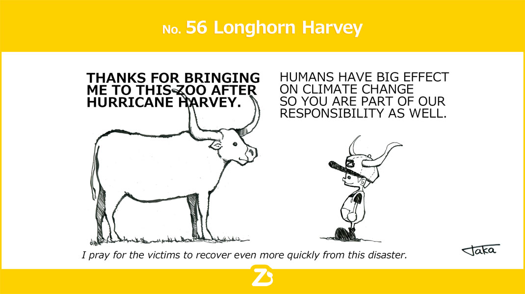 Longhorn Harvey